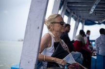 Mumbai City Sightseeing with Elephanta Caves Full Day Tour