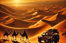 Excursions 3 days marrakech to merzouga desert