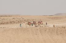 Marrakech Camel Ride and Traditional Dinner in Agafay Desert