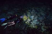 San Juan LED Night Snorkel 