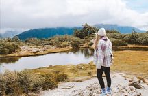 Routeburn Guided Day Hike from Te Anau with Lunch & Transport