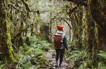 Lake Marian Guided Hike with Transfers, Lunch & Morning Tea
