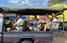 Chobe Full Day Safari in Chobe