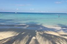 Sloths and Monkeys Roatan Island and Beach Break Private