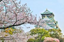 Osaka, Nara and Kyoto Day Trip with English Speaking Driver