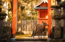 Osaka, Nara and Kyoto Day Trip with English Speaking Driver