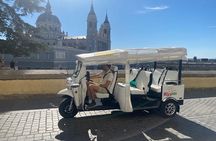 2 Hour Private Panoramic Tuk Tuk Tour