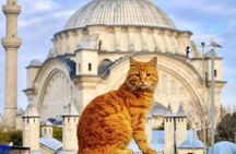 Ultimate Istanbul: 1 or 2-Day Private Guided Tour (Group Price)