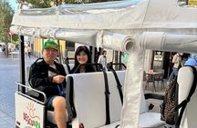 2 Hour Private Panoramic Tuk Tuk Tour