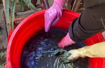 Indigo dyeing workshop