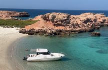 Snorkeling in Daymaniat Island