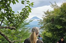 Mt Fuji Kawaguchiko Exclusive Private tour by local in English