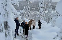 Levi: Lakeside forest snowshoeing