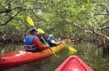 Mangrove Tunnels Kayak Tour (Photographer Included)- Marco Island