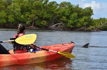 Mangrove Tunnels Kayak Tour (Photographer Included)- Marco Island