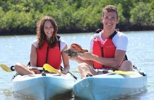Mangrove Tunnels Kayak Tour (Photographer Included)- Marco Island