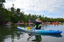 Mangrove Tunnels Kayak Tour (Photographer Included)- Marco Island