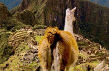 2 Days Tour to Machu Picchu by Train