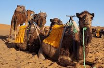3 Days Tour from Marrakech to Merzouga Dunes and Camel Trek