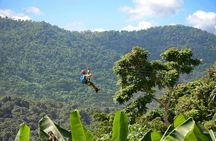 Ziplining at the Rainforest in Puerto Rico