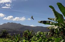 Ziplining at the Rainforest in Puerto Rico