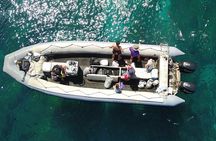 Whale Watching Expedition on Kauai 