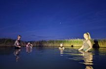 4 hr Private Adventure to Secret Hot Springs near Death Valley