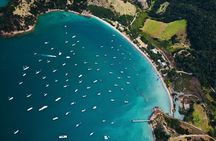 Auckland: Tikapa Moana Dolphin, Whale and Island Cruise 