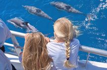 Auckland: Tikapa Moana Dolphin, Whale and Island Cruise 