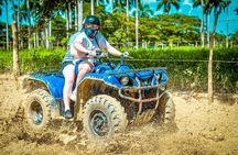 Punta cana Boogie into the Jungle with Coffee and Chocolate Taste