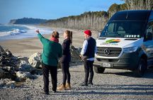 2 Day Tour From Christchurch to Queenstown via Franz Josef 