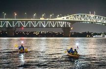Auckland City Lights Night Kayaking Tour