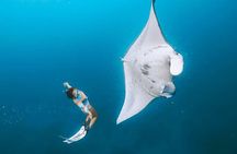 Manta Point Snorkeling & West Nusa Penida Island Day Tour