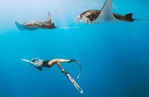 Manta Point Snorkeling & West Nusa Penida Island Day Tour