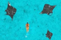 Manta Point Snorkeling & West Nusa Penida Island Day Tour