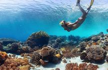 Manta Point Snorkeling & West Nusa Penida Island Day Tour