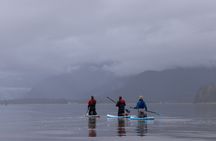 Dry-Suit Paddle board in Juneau with Mendenhall Glacier Views