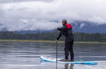 Private Group Paddle board tour in Juneau with Glacier views