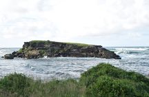 East Coast Private Tour of Barbados