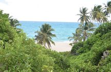 East Coast Private Tour of Barbados