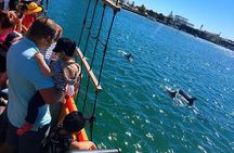 90 Minute Midweek Pirate Ship Scenic Cruise