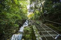Kanazawa Tour Local and Major Highlights