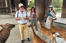 World Heritage Kyoto & Nara Uji Authentic Matcha Experience