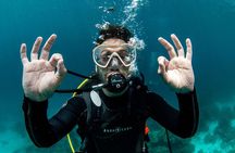 1-Hour Beach Diving Experience with Transfer from Sharm El Sheikh