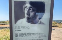 Jeju Art & Culture Tour: Bonte Museum- Tadao Ando, Arte Museum