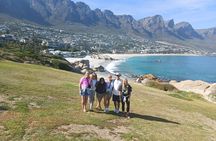 Cape Town Half Day Penguins And Cape of Good Hope Tour