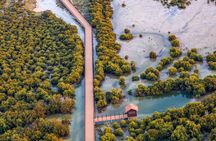 North of Qatar Tour, Zubara Fort, Mangroves, Jumail Village