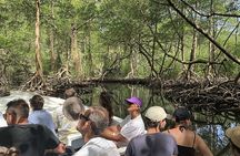 Excursion to Los Haitises and Redonda Mountain