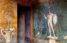 Pompeii Ticket and Guided Tour with a Professional Historian