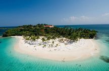 Saona Island Private +8 People Platinum Transfer